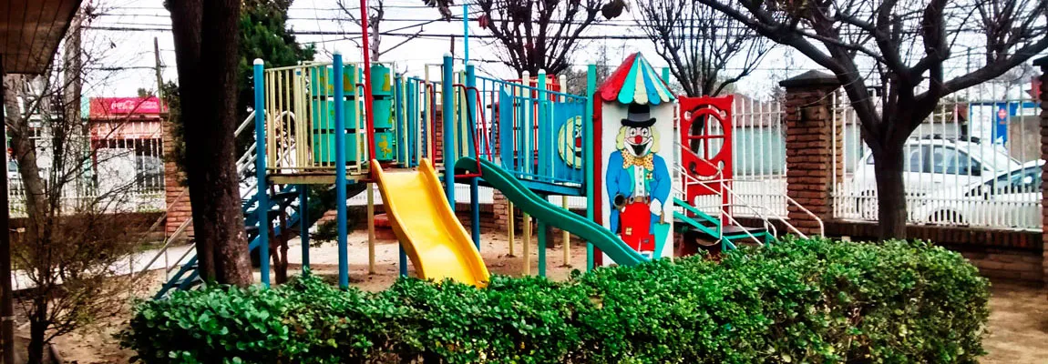 Foto del jardín